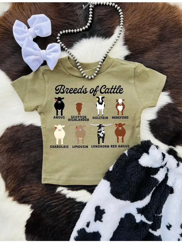 Breeds Of Cattle Graphic