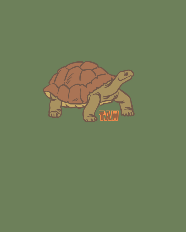Tod Tortoise Graphic Tee ** CUSTOM LISTING FOR RHONDA WALDROP