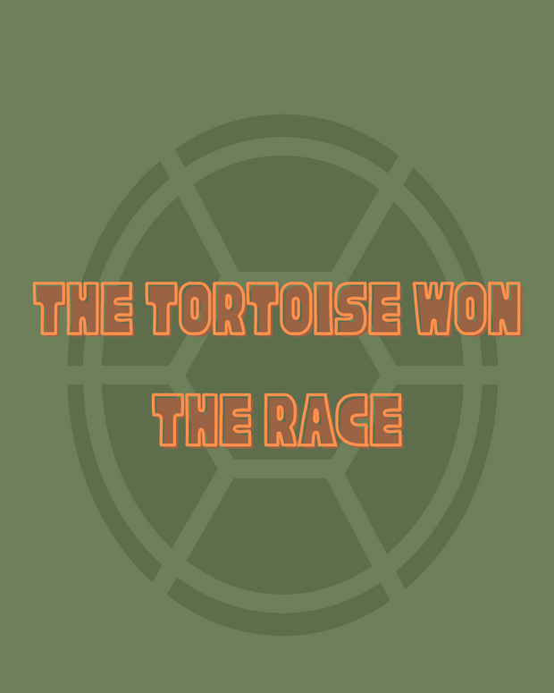 Tod Tortoise Graphic Tee ** CUSTOM LISTING FOR RHONDA WALDROP