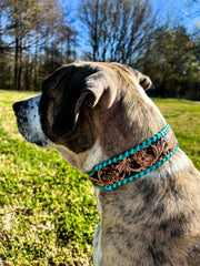 Acety Hand Tooled Leather Dog Collar