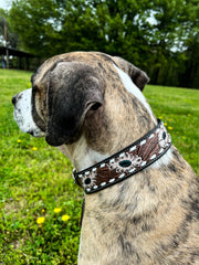 Hotshot Hand Tooled Leather Dog Collar