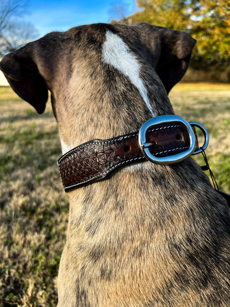 Oxy Daisy Hand Tooled Leather Dog Collar