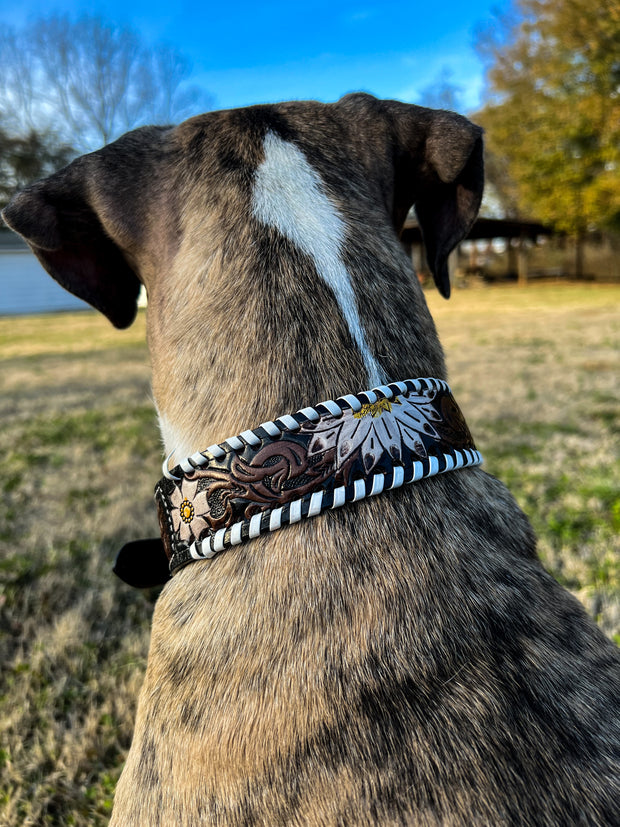Oxy Daisy Hand Tooled Leather Dog Collar
